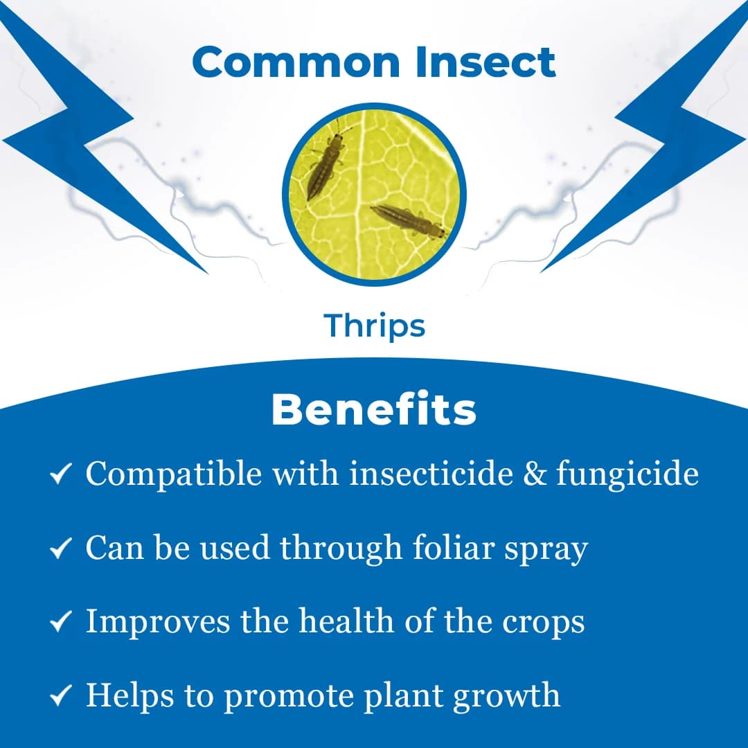 Remidok - Fipronil 18.87% SC Insecticide, Compatible with Other Insecticides and Fungicides - Image 3