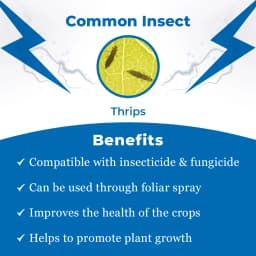 Remidok - Fipronil 18.87% SC Insecticide, Compatible with Other Insecticides and Fungicides 3