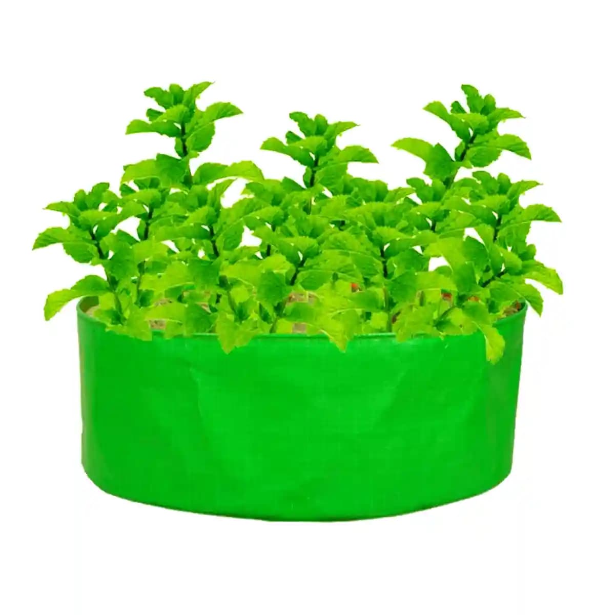 GARDECO 260 GSM HDPE UV Treated Round Type Grow Bags for Vegetable, Flower Plants - Image 4