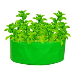 गार्डेको 260 जीएसएम एचडीपीई पराबैंगनी (यूवी) उपचारित बहुउद्देशीय राउंड टाइप ग्रो बैग्स, सब्जी और फूल पौधों के लिए 4