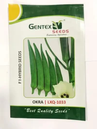 Gentex LXQ-1033 Okra seeds - Bhindi Seeds - Image 1