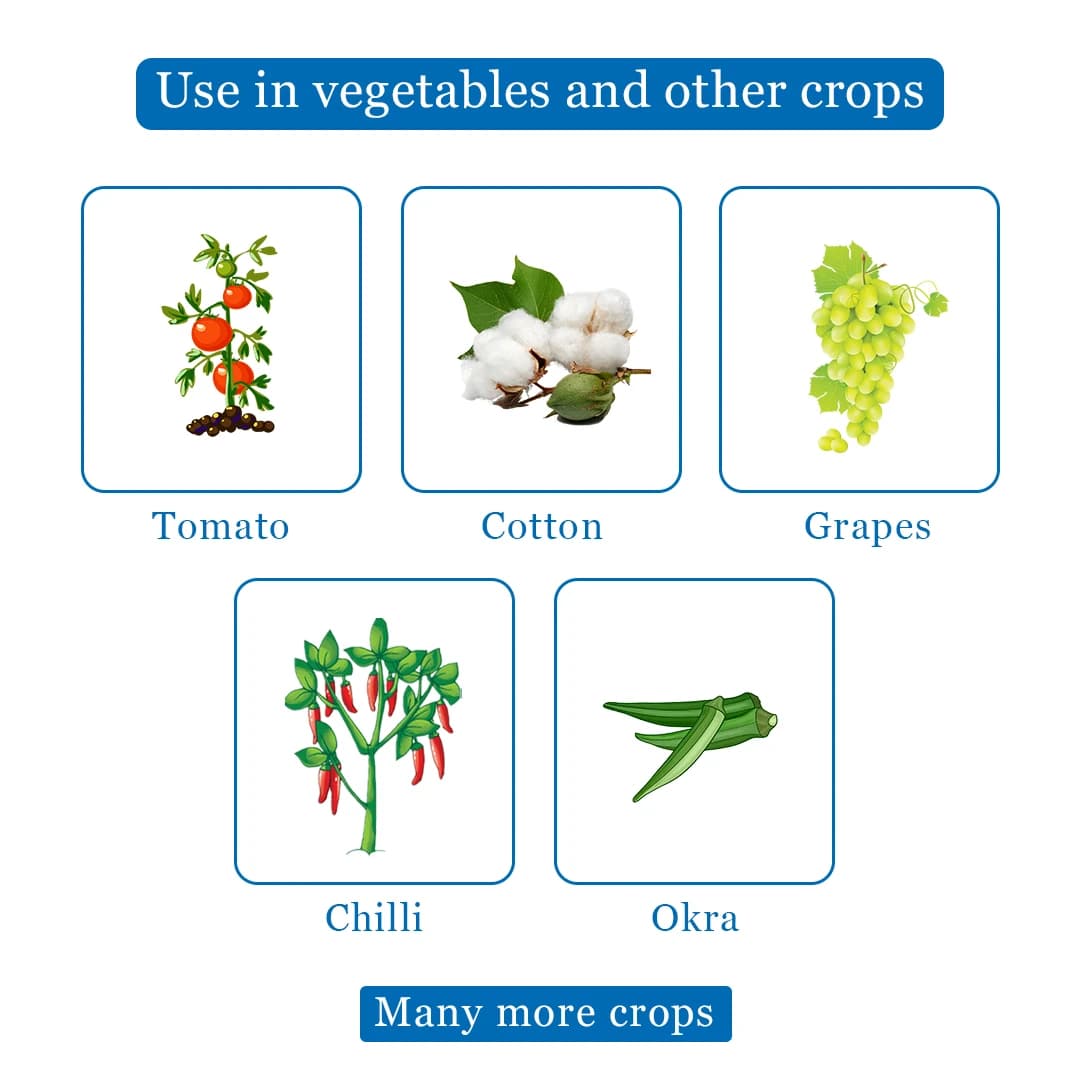 Exylon Lumina Thiamethoxam 12.6% + Lambda-Cyhalothrin 9.5% ZC Insecticide, Powerful Dual-Action Pest Control - Image 4
