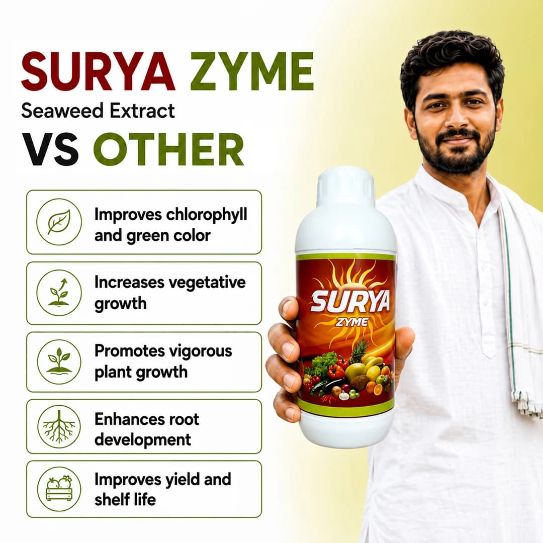 ग्रीनपीस सूर्या ज़ाइम (सीवीड एक्सट्रेक्ट 20%) - फसल की उपज बढ़ाता है, फलों की शेल्फ लाइफ में सुधार करता है और जड़ विकास को बढ़ाता है। - Image 3