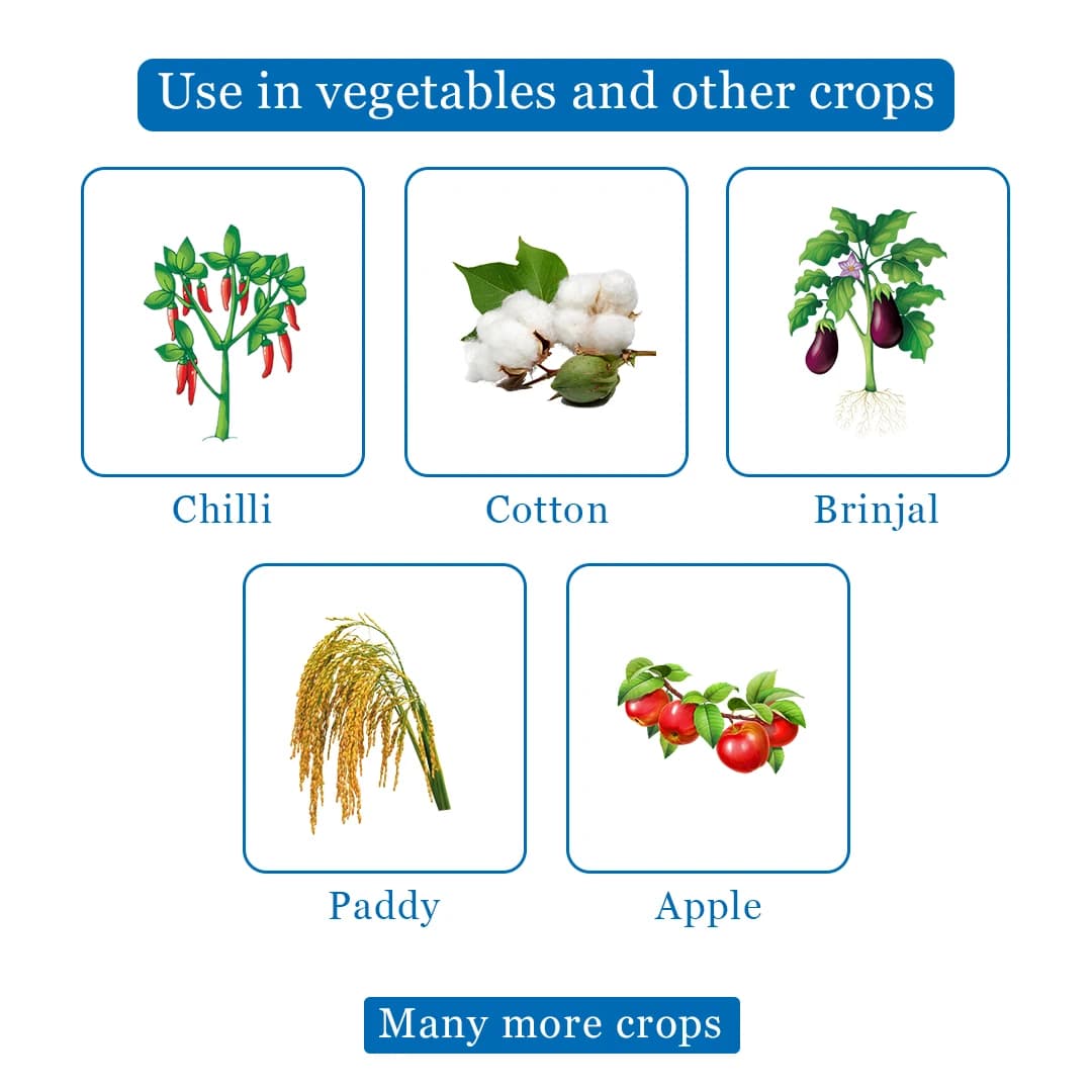 Bayer Alanto Insecticide - Image 4