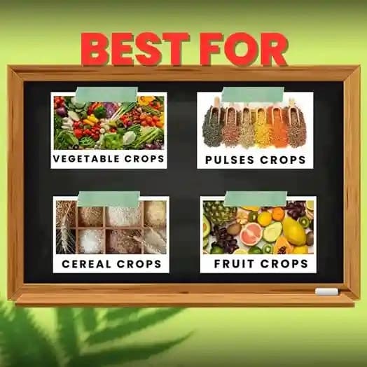 Katyayani Bt Bio Larvicide (Powder) Effective Bio-Pesticide For Natural and Eco-Friendly Larvae Control In Crops - Image 4