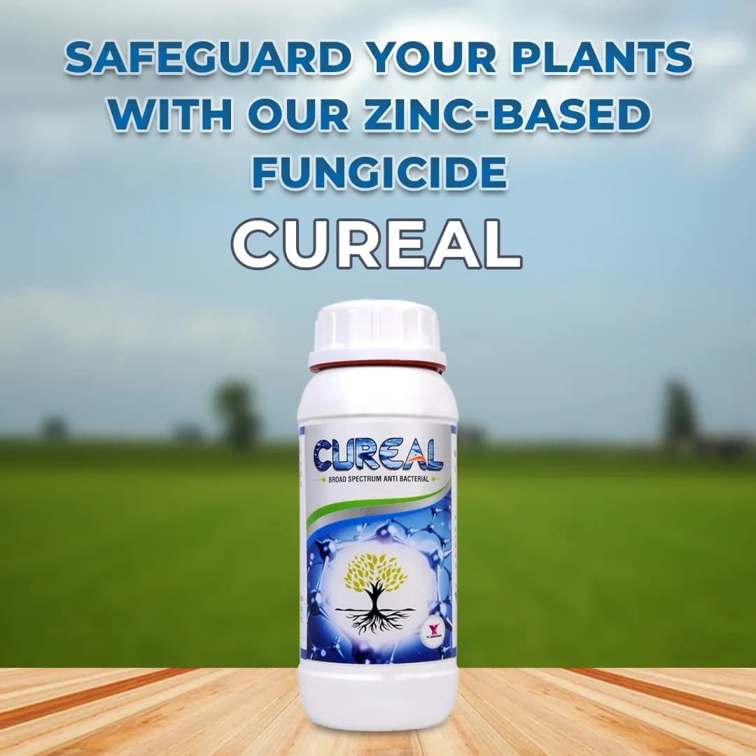CUREAL Best Fungicide and Bactericide Zinc Based, Nontoxic and Eco-Friendly - Image 2