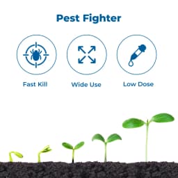Coromandel Parryfos Monocrotophos 36% SL Insecticides, Controls Sucking, Bollworms, Leaf Eating Beetles, Mealy Bugs & Mites. 3
