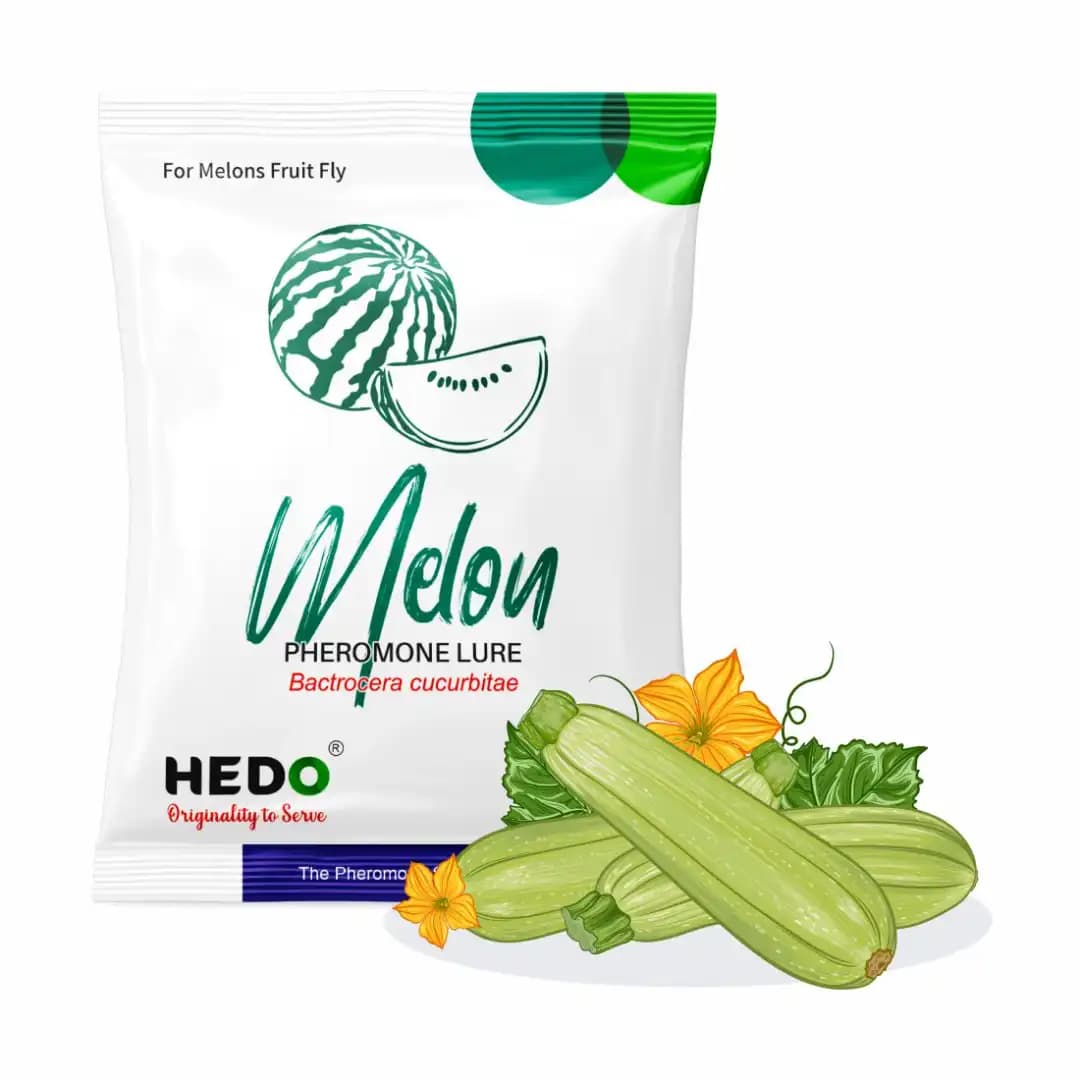 HEDO Pheromone Trap With Melon Fruit Lure (Bactrocera Cucurbitae) Control Melon Fly For Cucumber, Bottle Gourd, Bitter Gourd, Pumpkin, Water Melon - Image 6