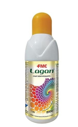 FMC Lagan Crop Nutrition Paclobutrazole 23% SC, Helps In Better Flowering and Reduces Flower Drops