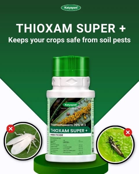 Katyayani Thioxam Super Plus Thiamethoxam 70% WS Insecticide, Powerful Pest Control For Crops - Image 2