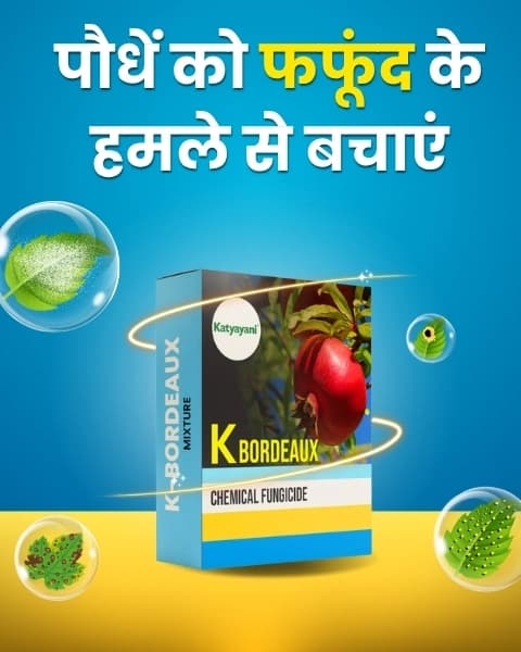 Katyayani K-Bordeaux Mixture Fungicide, Effectively Prevents Fungal Diseases. - Image 6
