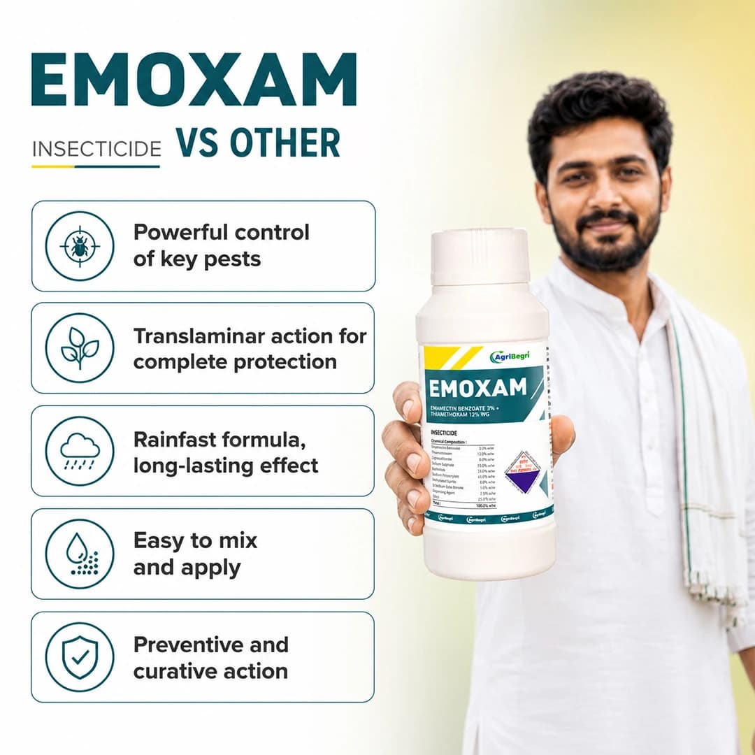 ಎಮೋಕ್ಸಾಮ್ - ಎಮಾಮೆಕ್ಟಿನ್ ಬೆಂಜೋಯೇಟ್ 3% + ಥಯಾಮೆಥಾಕ್ಸಾಮ್ 12% WG - Image 7