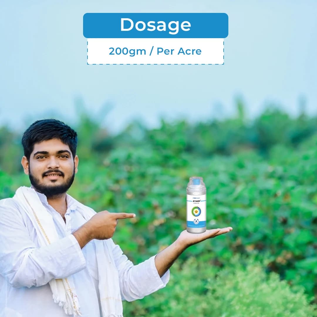 Tata Rallis Ayaan Kresoxim Methyl 40% + Hexaconazole 8% Wg, Use For Gardening Plants And Field Crops - Image 5