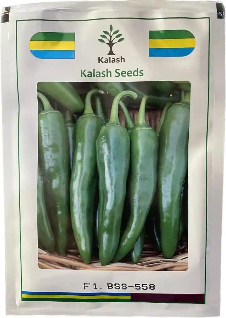 Kalash Chilli BSS 558 F1 Hybrid Seeds, For Green Purpose, Medium Pungency