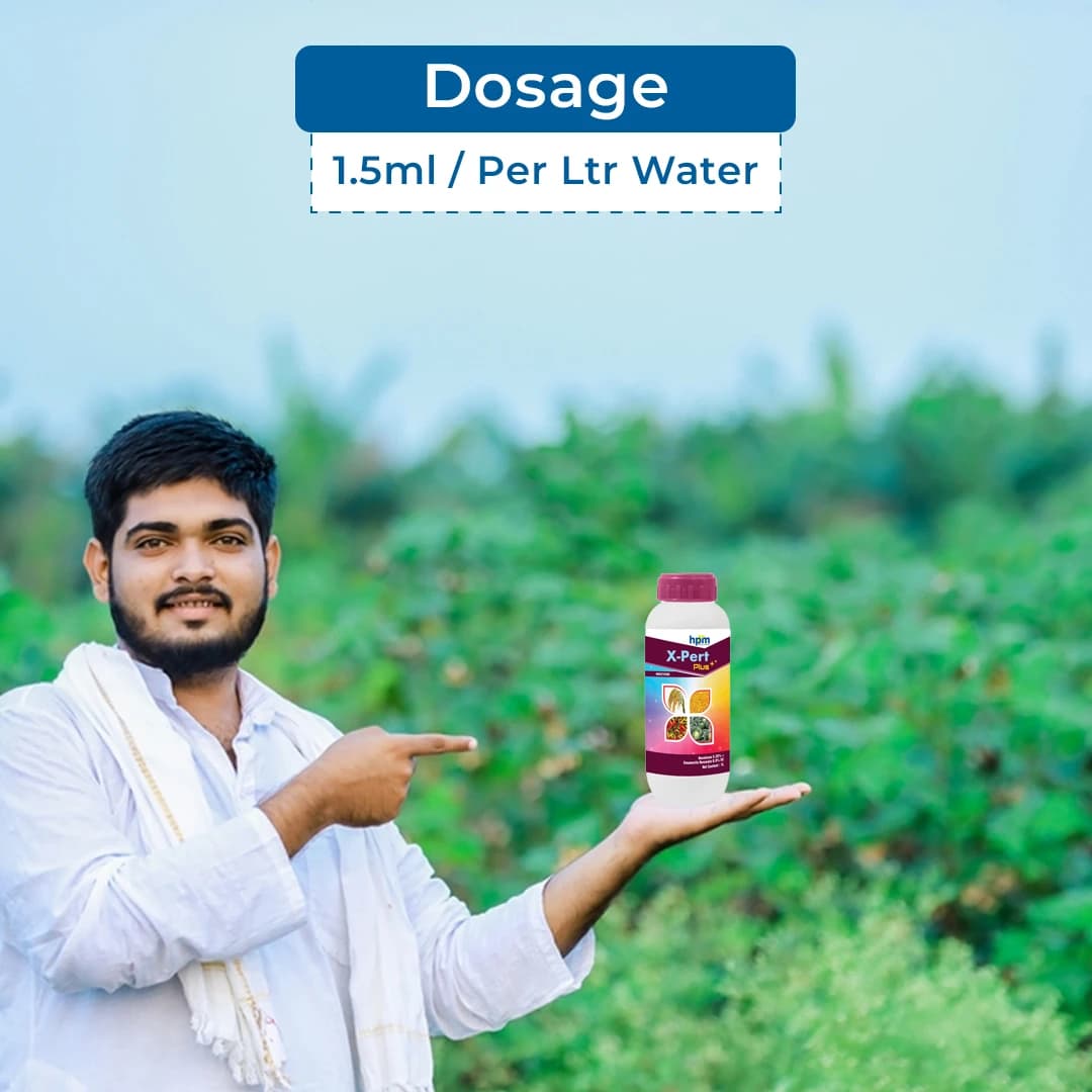 Hpm X-Pert Plus Novaluron 5.25% + Emamectin Benzoate 0.9% SC Insecticide, Effective Pest Control - Image 5