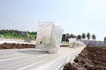 Radhe Agri 2x15 Inch Plant Protection Cover Non-Woven Fruit Bag - Image 2