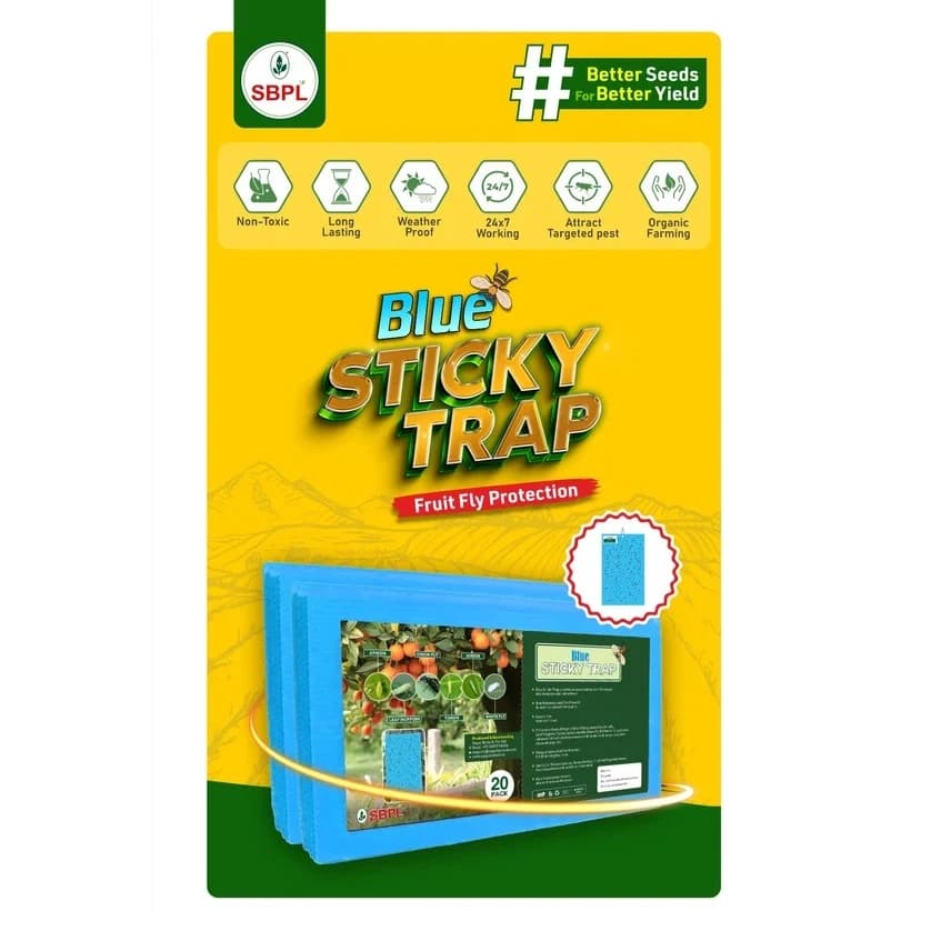 Sagar Blue Sticky Pest Traps, Non-Toxic Durable and Safe For Greenhouse, Use For Flying Insects (Pack of 20) - Image 2