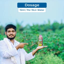 Adama Anolik Thiamethoxam 12.6% + Lambda Cyhalothrin 9.5% ZC Insecticide, Effective Control Against Sucking Pests 5