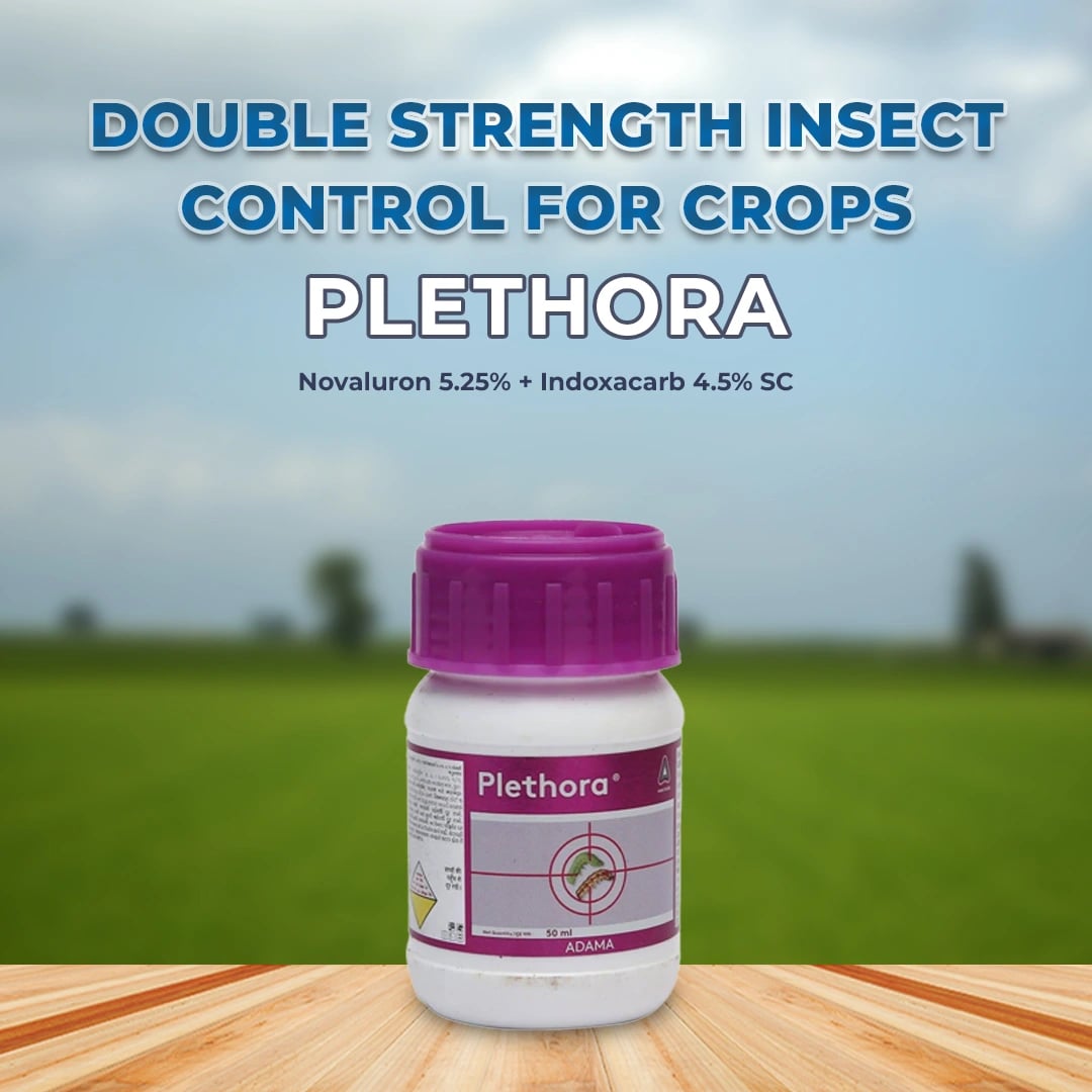 Adama Plethora Insecticide