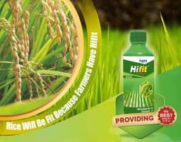 Hpm Hifit Pretilachlor 50% EC Herbicide, Effective Pre-Emergence to Early Post-Emergence Weed Control For Rice 5