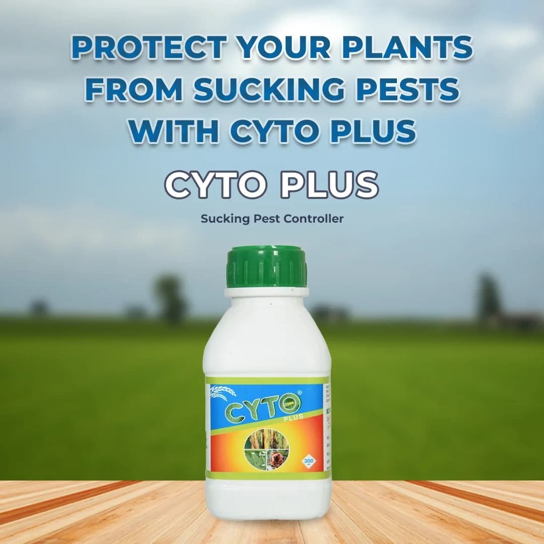 CYTO Plus Sucking Pest Controller, Effectively Controlling of Sucking Pest Especially Leaf Minor, Thrips, Mealy Bug, etc. - Image 2
