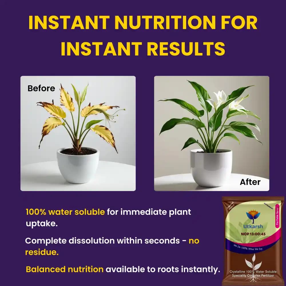 Utkarsh NOP 13:00:45 (Potassium Nitrate) KNO3 (100% Water Soluble Complex Fertilizer), Best for Drip Irrigation - Image 2