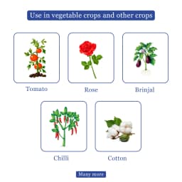 Crystal ABACIN Abamectin 1.9% EC Insecticide And Acaricide Crystal. It acts in Contact and Stomach Action 4