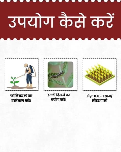 कात्यायनी इमा5 इमामेक्टिन बेंजोएट 5% एसजी, पौधों और घरेलू उद्यान के लिए कीटनाशक। - Image 5