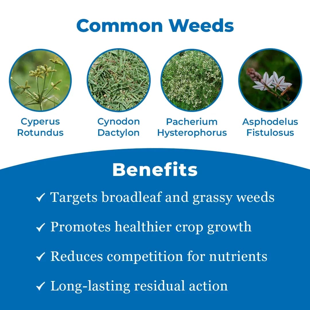 Sumetra Herbicide - Image 3
