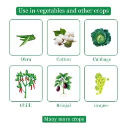 Coromandel Benzer - Emamectin Benzoate 5% SG Insecticides, For Controlling Fruit & Shoot Borer, Thrips, Mites 4