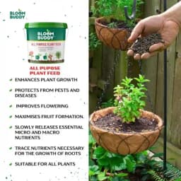 BloomBuddy All Purpose Plant Feed Granules, Organic Slow-Release Fertilizer with NPK & Micronutrients 9