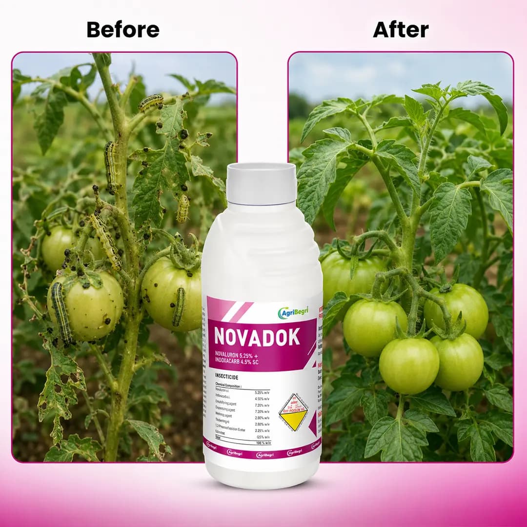 Novadok Insecticide - Novaluron 5.25% + Indoxacarb 4.5% SC - Image 6
