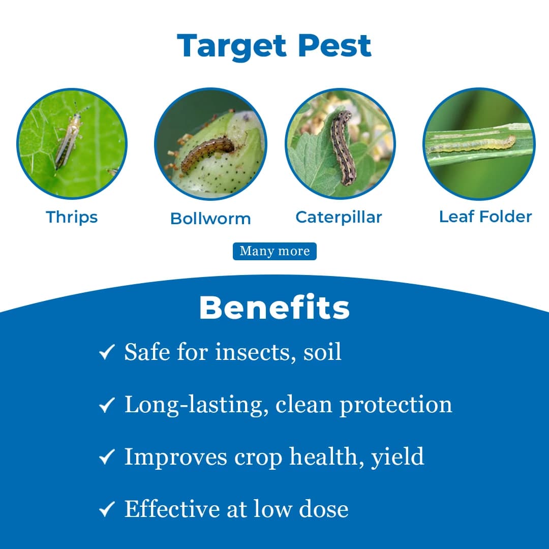 Largo Insecticide - Spinetoram 11.7% SC - Image 3