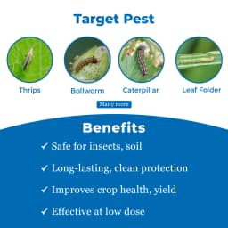 Dhanuka LARGO Spinetoram 11.7% SC Insecticide, Effective For Thrips And Caterpillar Control In Crops 3