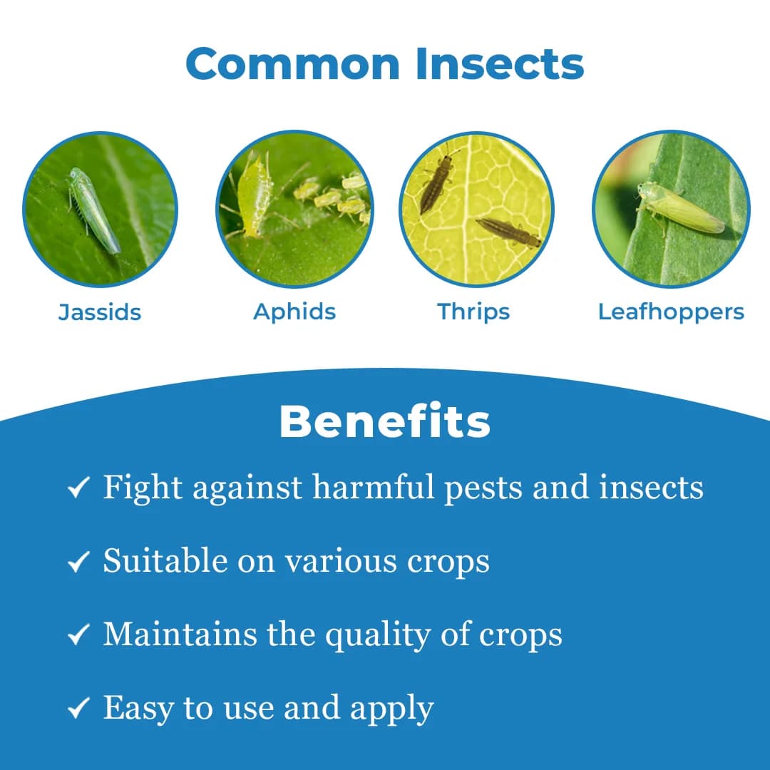 Bomba Pro - Imidacloprid 70% WG Insecticide, Essential For Control of Sucking Pests - Image 3