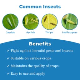Bomba Pro - Imidacloprid 70% WG Insecticide, Essential For Control of Sucking Pests 3