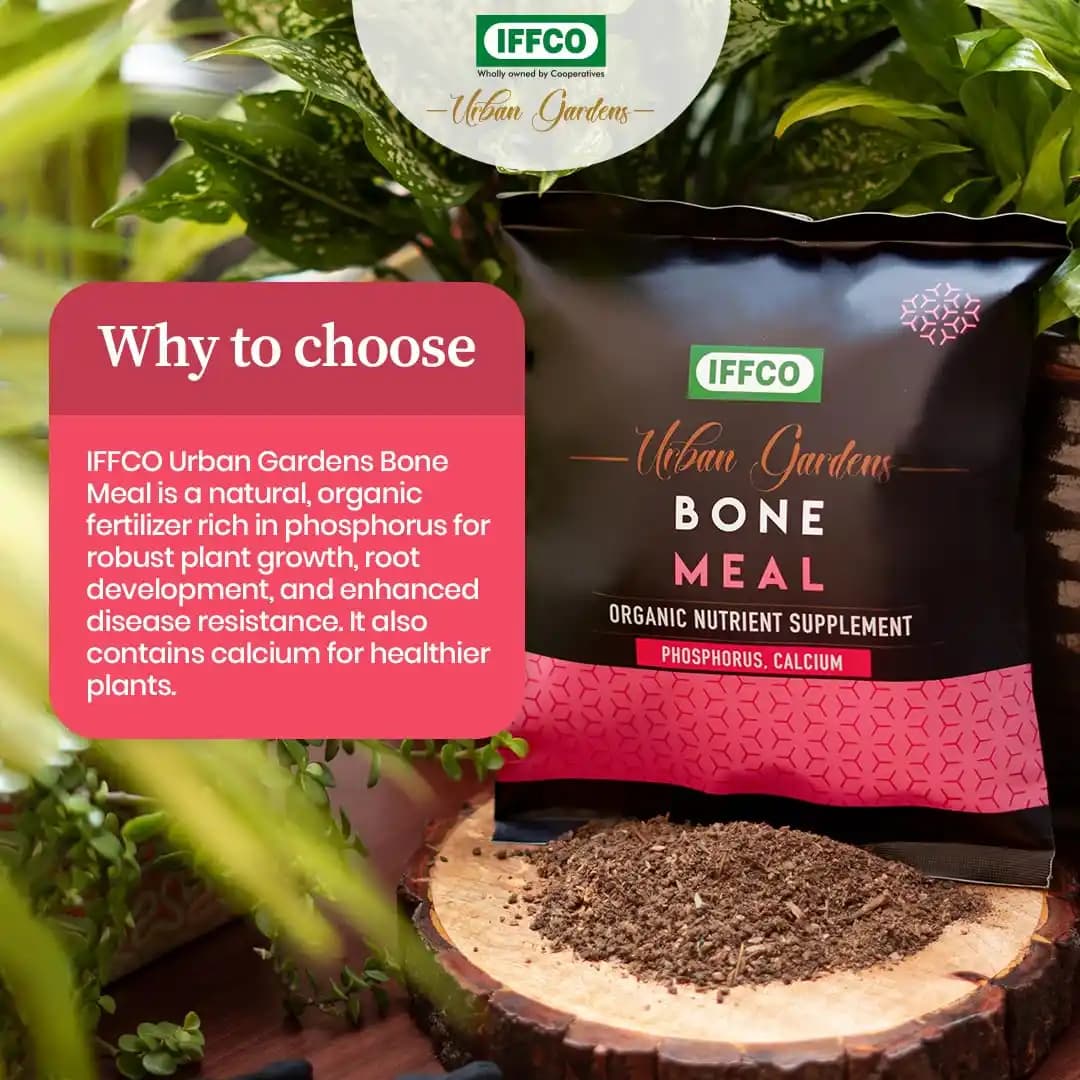 IFFCO Bone Meal Organic Phosphorus And Calcium Fertilizer, Healthy Plants, Flowering And Root Growth - Image 3