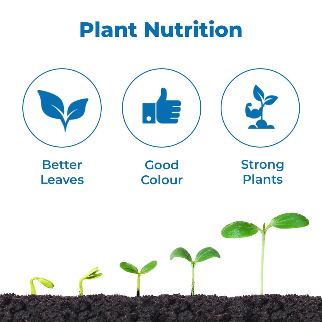 GACIL Zinc Sulphate Monohydrate 33% Water-Soluble Micronutrient Fertilizer, Zinc Deficiency Correction For All Crops - Image 3
