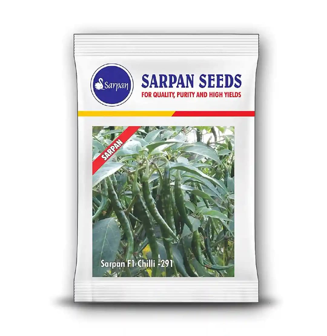 Sarpan F1 Hybrid Chilli Seeds, Chilli-291 Dark Green, Highly Tolerant to Leaf Curl and Sucking Pest, Suitable for Dual Purpose Fresh Green and Dry Red - Image 2