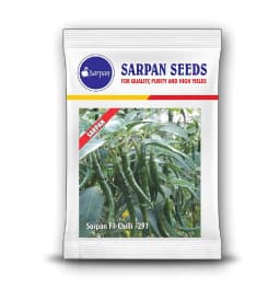 Sarpan F1 Hybrid Chilli Seeds, Chilli-291 Dark Green, Highly Tolerant to Leaf Curl and Sucking Pest, Suitable for Dual Purpose Fresh Green and Dry Red 2