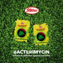 T-Stanes Bacterimycin, Broad-Spectrum Immunomodulator, Protect Your Crops From Bacterial Disease 3