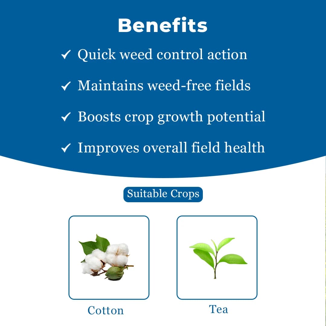 UPL Sweep Power Glufosinate Ammonium 13.5% SL Herbicides, Used For The Control Of Perennial Weeds In Plantation Crops. - Image 4