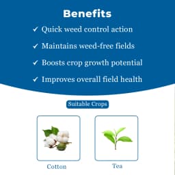UPL Sweep Power Glufosinate Ammonium 13.5% SL Herbicides, Used For The Control Of Perennial Weeds In Plantation Crops. 4
