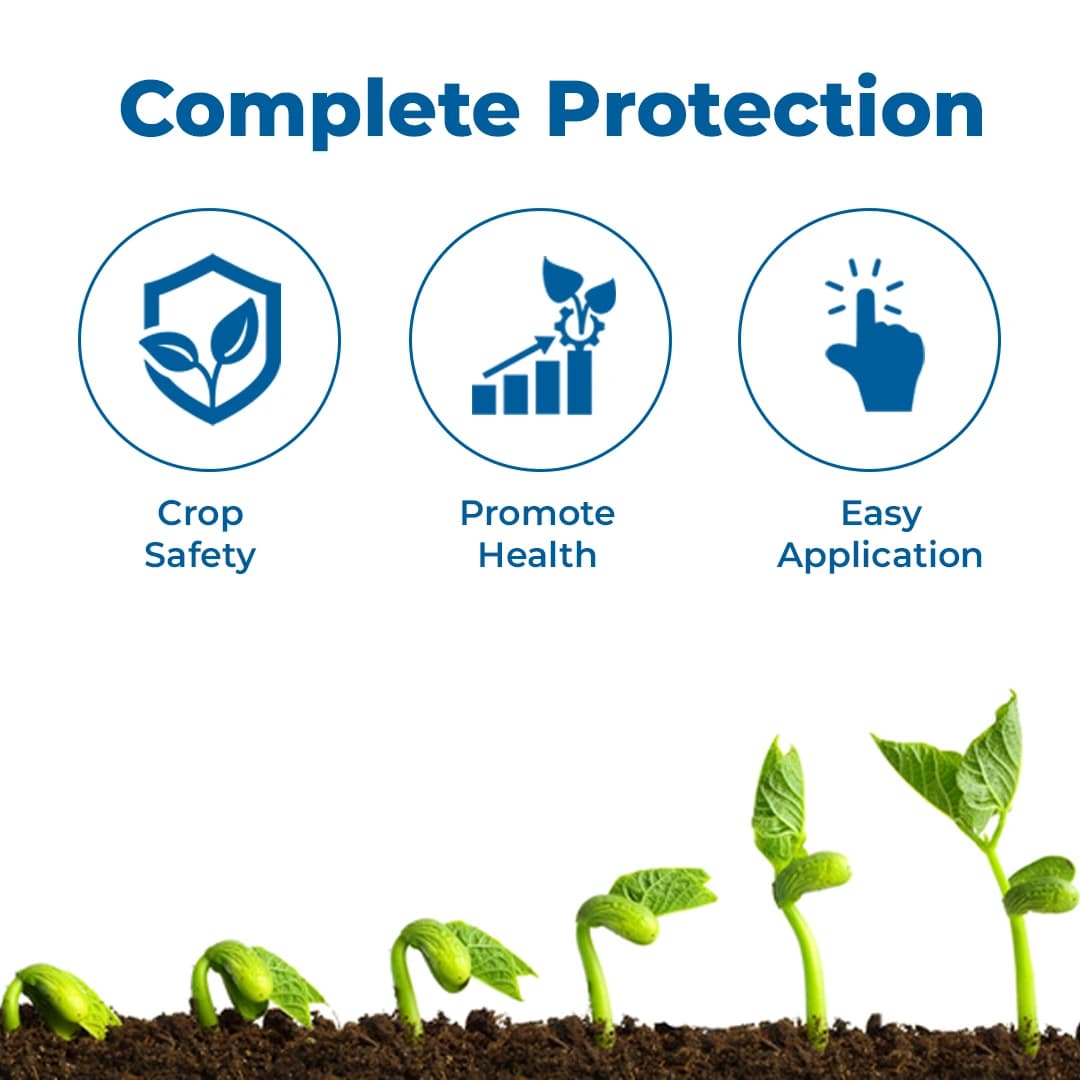 Best Agrolife Tricolor Trifloxystrobin 10% + Difenoconazole 12.5% + Sulphur 3% SC Fungicide with Prophylactic, Curative and Eradicative Action - Image 3