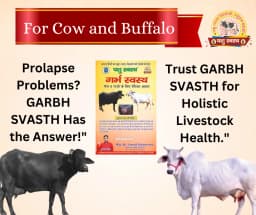 PASHU SVASTH GARBH SVASTH, Herbal Cattle Prolapse And Uterine Health Solution 4