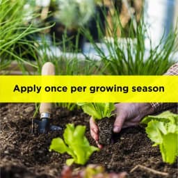 Titan Agritech PEP STAR 40 Paclobutrazol 40% SC Plant Growth Regulator, Effective For Mango And Fruit Trees 10