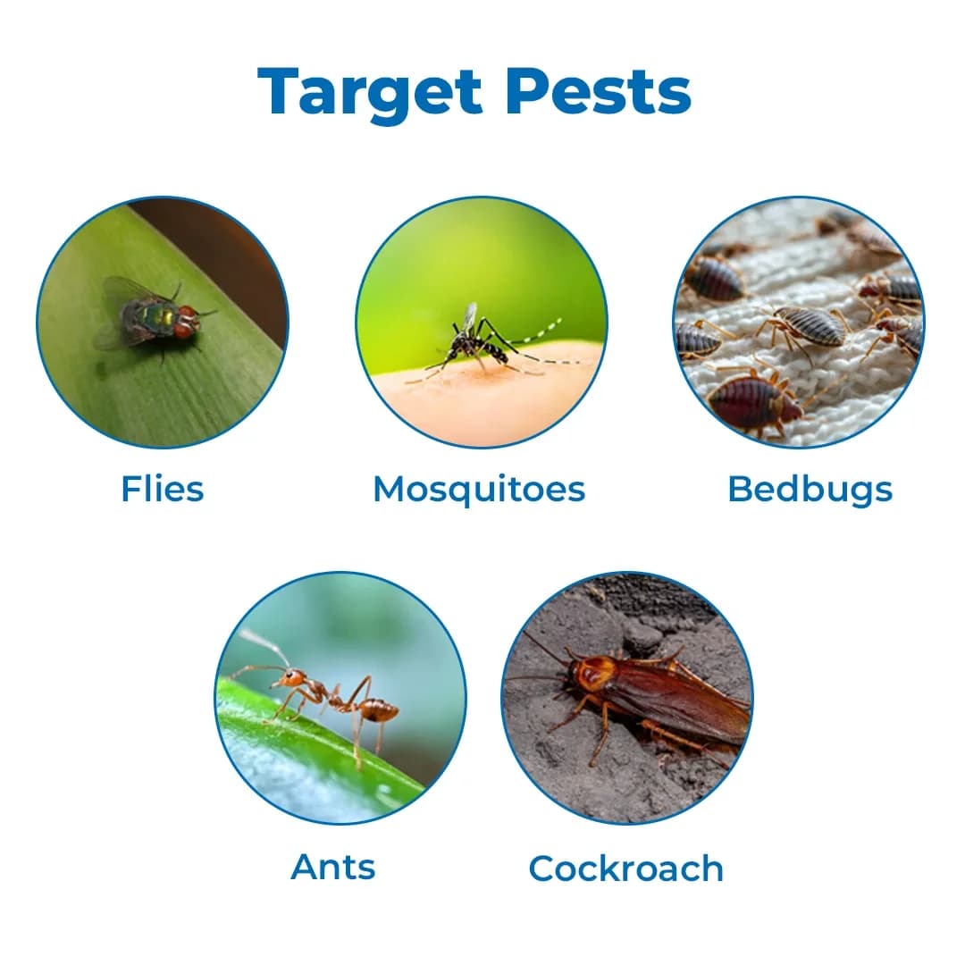 Pyrethrin Insecticide Household Fogging & Spray Liquid for Mosquitos, Bed Bugs, Flies, Cockroaches Pyrethrum Extract 2% Ideal Pesticide for Home Garde - Image 3
