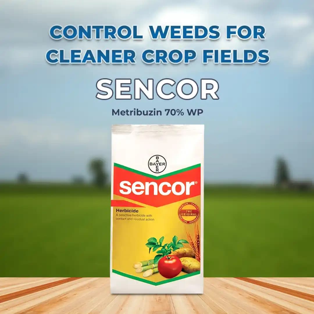 Bayer Sencor Herbicide - Image 2