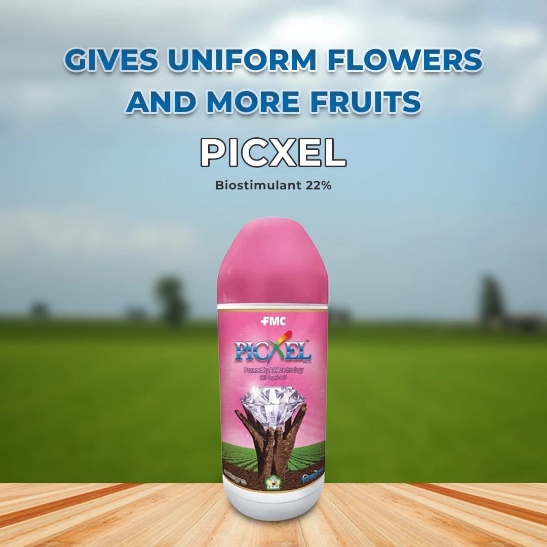 FMC Picxel Biostimulant - Image 2