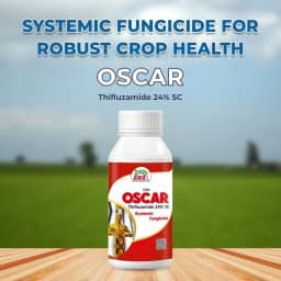 EBS Oscar Thifluzamide 24% SC Systemic Fungicide, Recommended for Sheath Blight in Rice and Black Scruf Disease in Potato 2